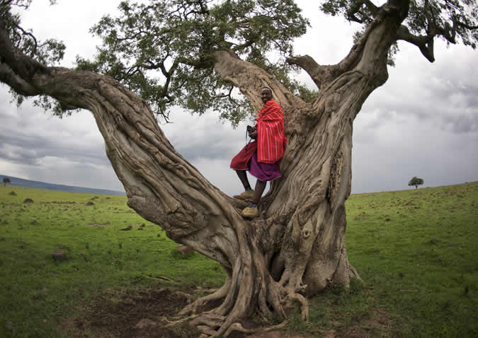 11 Days Migration Experience Tour