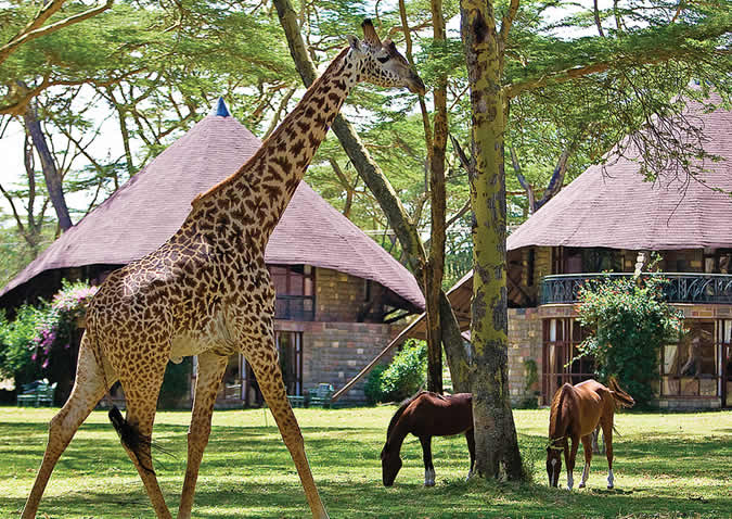 10 Days Kenya Family Expedition Tour