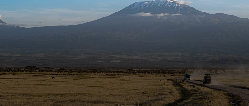 7 Days Kilimanjaro Lemosho Route Tour