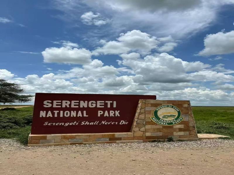 5 Days 4 Nights Tanzania Signature Luxury Safari Experience