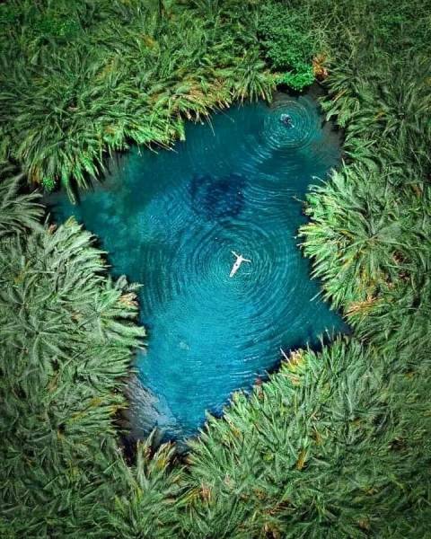 1D Kikuletwa - Chemka - Hot Hotspring Tour