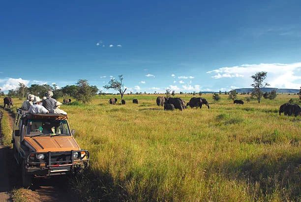 6 Days Tanzania Family Vacation Tour