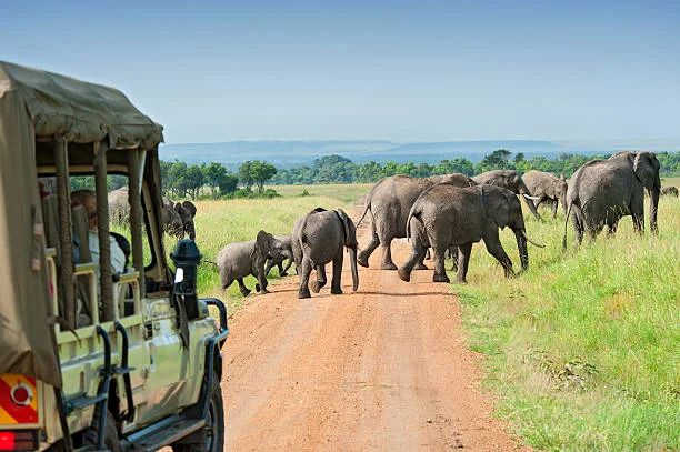 9 Days Tanzania Family Vacation Tour
