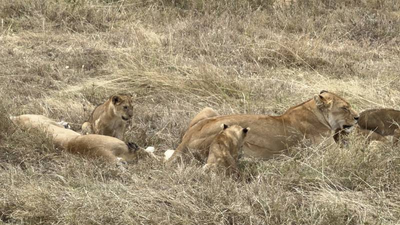 6 Days Family Safari Tour Package.