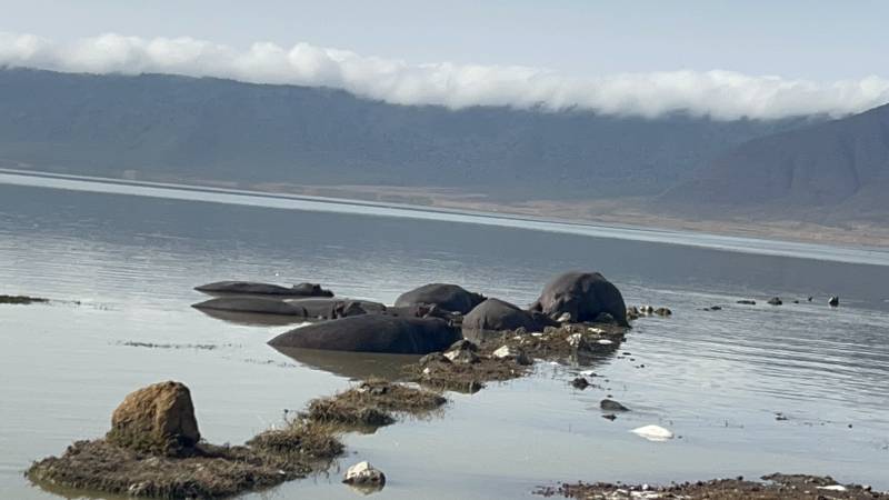 5 Days Tanzania Safari Tour Package