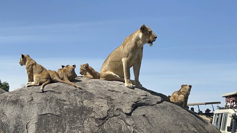 5 Days Tanzania Safari Tour Package