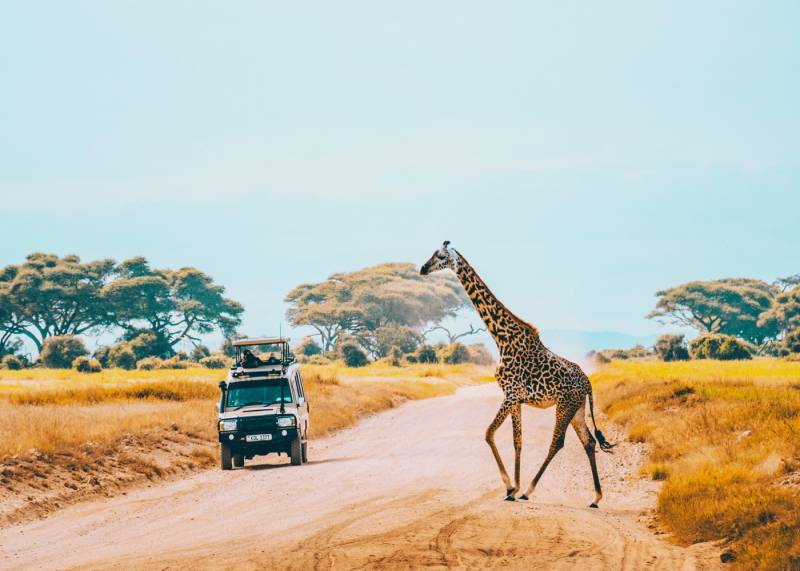 Tanzania Safari & Zanzibar Itinerary – Including The Unique Touch Of Culture & Comfort 14 Days