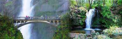 3 Night 4 Day Delhi To Nainital Tour Package