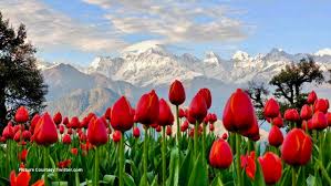 3 Night 4 Day Delhi To Munsiyari Tour Package