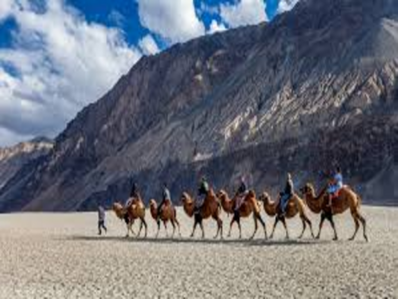 6 Night 7 Day Leh Ladakh Trip
