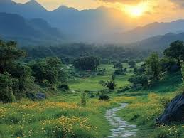 2 Night 3 Day Palampur Tour Package