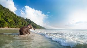 4 Night - 5 Days Andaman Tour Package