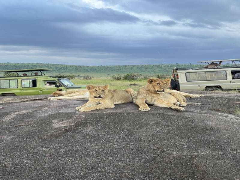 2 Nights 3 Days Nairobi to Maasai Mara Tour Package