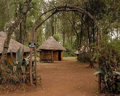 07 Nights  08 Days Mount Kenya- Lake Nakuru- Maasai Mara - Mombasa Honeymoon Package