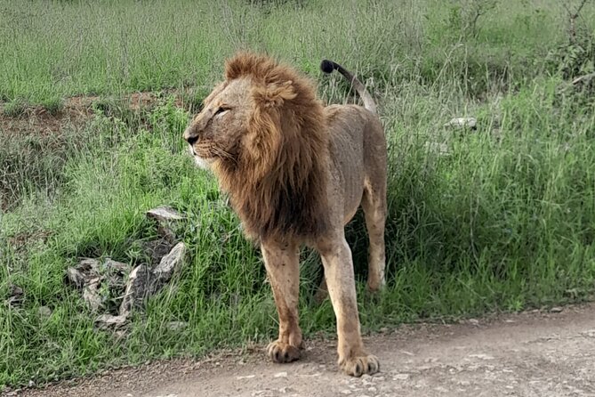 07 Nights  08 Days Mount Kenya- Lake Nakuru- Maasai Mara - Mombasa Honeymoon Package