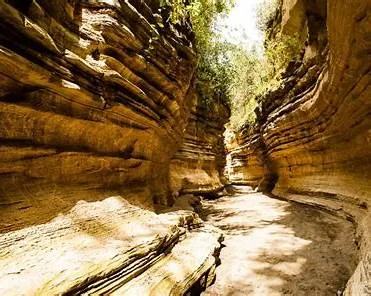 Team Building In Naivasha With Activities In Hells Gate National Park Tour