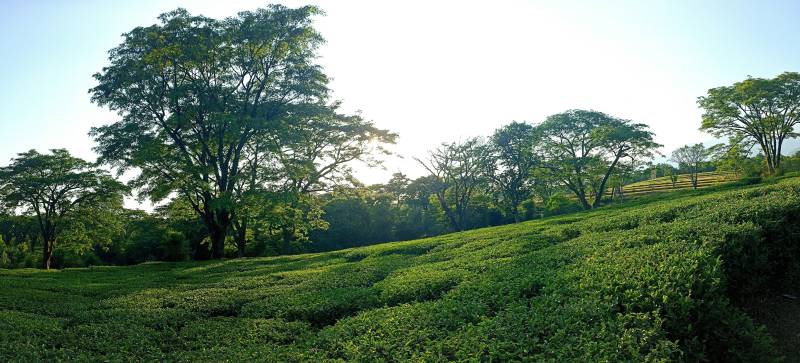 Dharamshala Family Holiday Plan 4 Nights And 5 Days