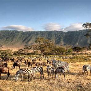9 Days - 8 Nights Kenya Bush - Beach Safari Tour