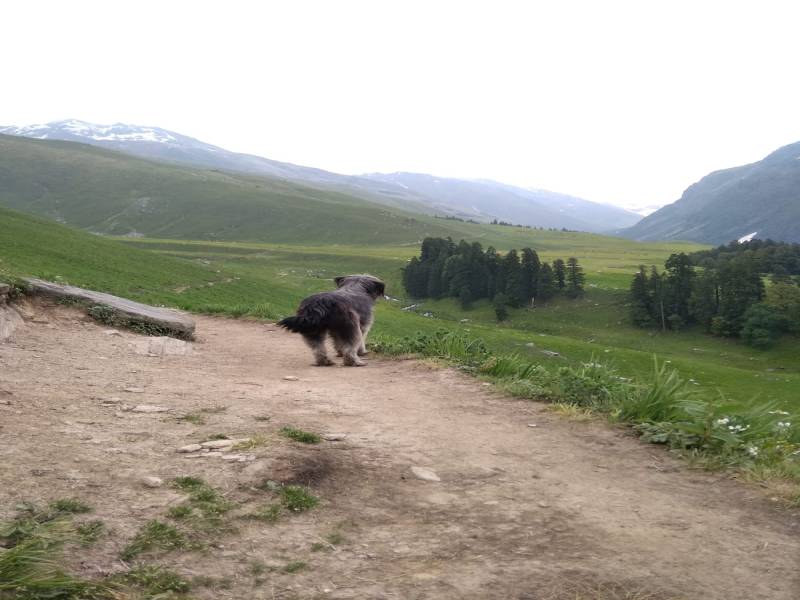 Chandranahan Lakes Trek 5 Days Tour