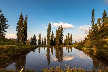 Shimla Package From Chandigarh To Chandigarh 4 Nights 5 Days