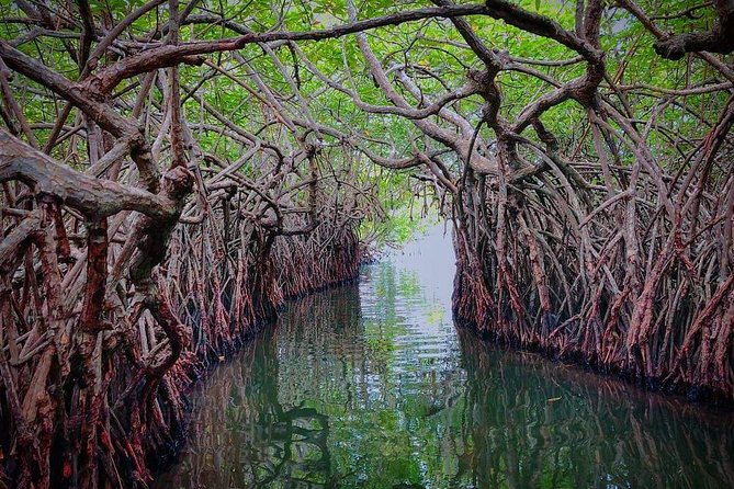 7 Days 6 Nights to Sri Lanka All Inclusive Honeymoon Tour