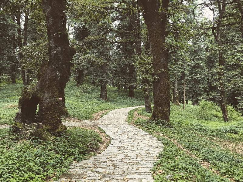 6n / 7d Hidden Gems - Mandi