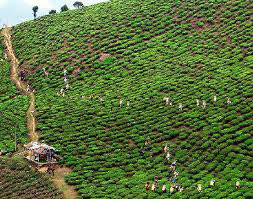 Exotic Eastern Himalayas Tour