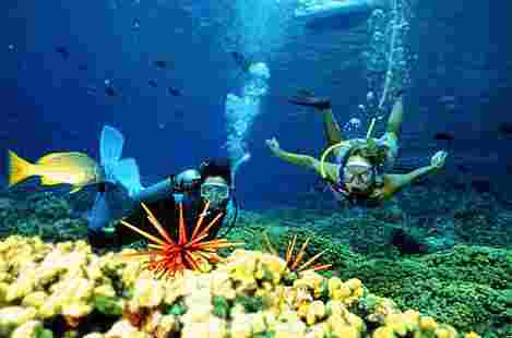 Memorable Gateway To Andaman Tour