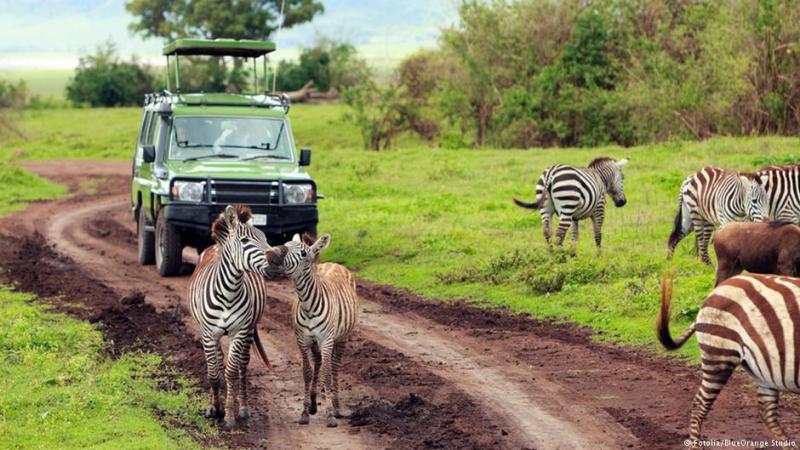 Exclusive African Safari Vacations Package