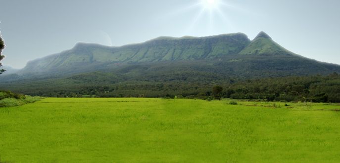 Weekend Tour To Chikmagalur Package