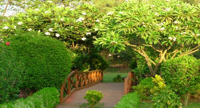 Gujarat Silvasa Tour