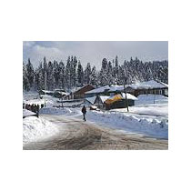 Shimla - Manali - Srinagar Package