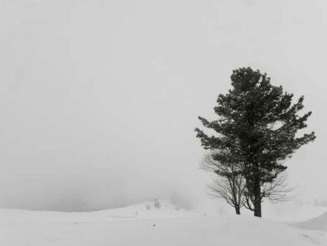 Shimla - Manali - Srinagar Package