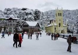 Shimla - Kufri - Naldhera Tour Package