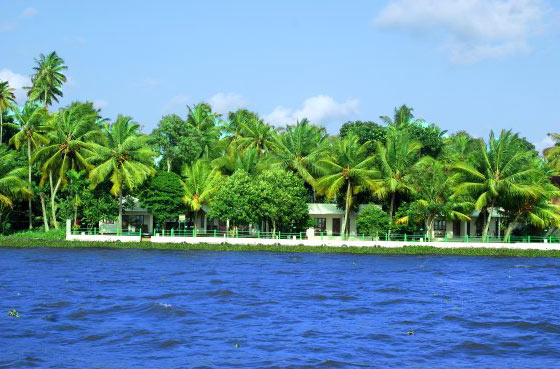 Kerala Honeymoon Package