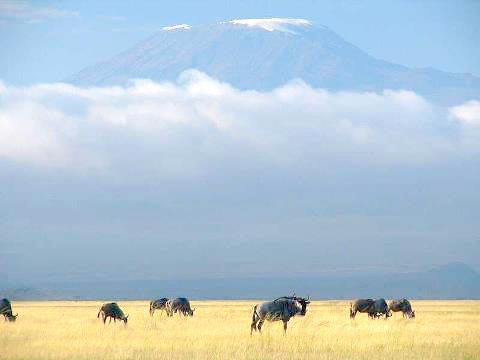 Amboseli - Nairobi - Samburu - Aberdare - Lake Nakuru - Masai Mara Tour