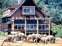 Kenya Cultural & Wildlife Safari Tour