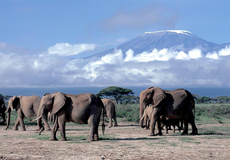Mount Kilimanjaro Climb Tour