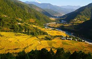 Serene Bhutan - Rukha Tour