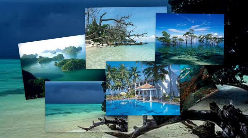Andaman Package 04Night/05Days (Amazing Holidays In Andaman)