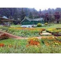 Spectacular South India