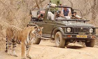 Wild Safari Rajasthan Tour