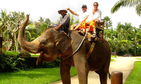 Elephant Safaris In India Package