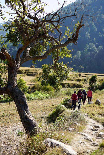 Enchanting Bhutan Holiday