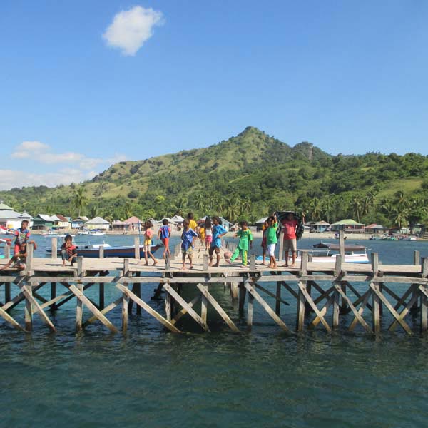 Komodo One Day Tour Package