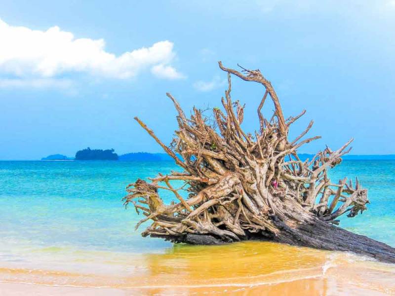 3N 4D South Andaman Tour Package From Noida
