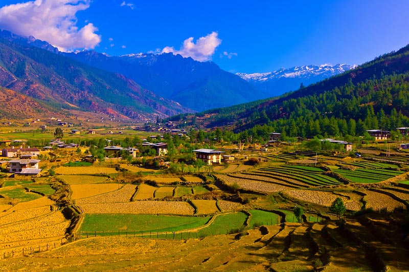 7 Days /6 Nights - Culture Tour