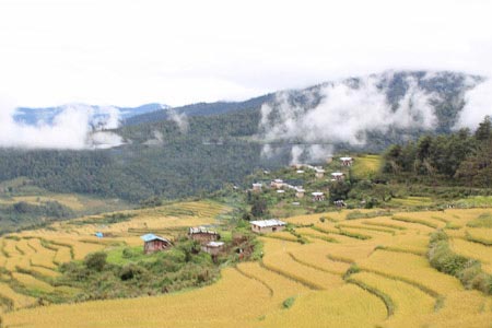 Glimpse of Bhutan Package
