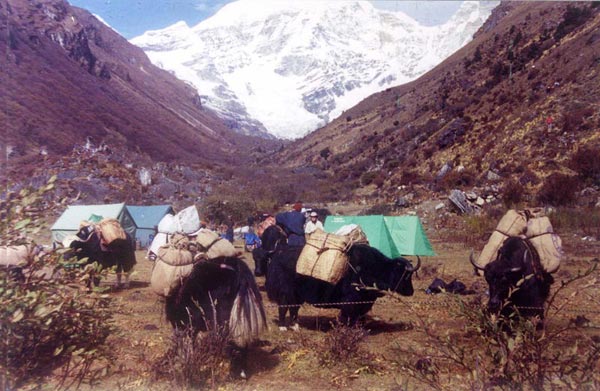 Snow Leopard Trek Package