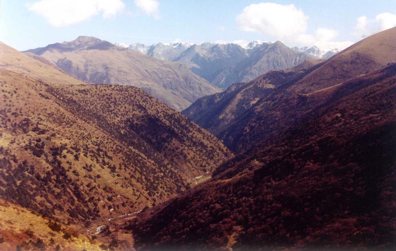 Snow Leopard Trek Package